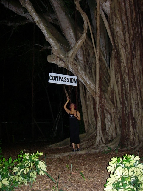 Sarasota EarthDance - Compassion