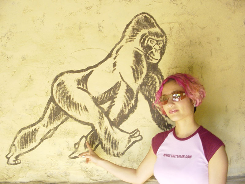 zoo08