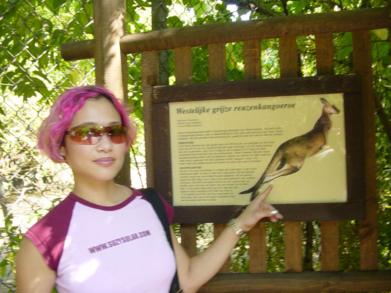 zoo22