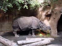 zoo41