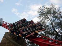 busch gardens 094