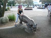 busch gardens