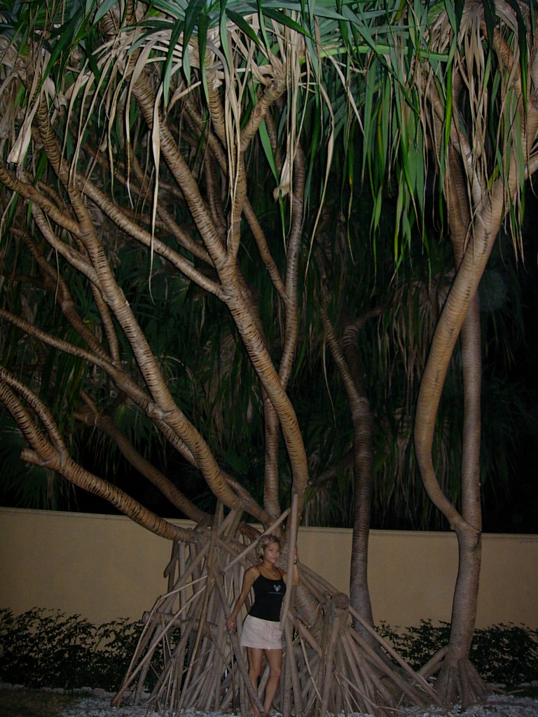 suzy @ hotel riu miami, florida
