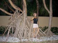 cool tree