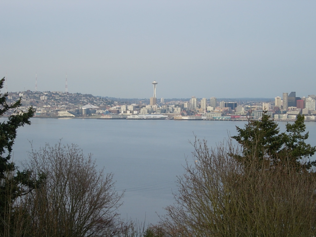 35. Seattle, Feb 08 - Pugent Sound